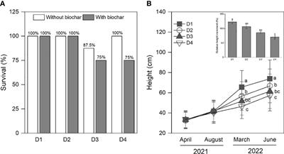 Biochar aggravates the negative effect of drought duration on the growth and physiological dynamics of Pinus massoniana